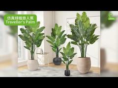 Cây cọ du lịch nhân tạo với mép lá chân thực 160cm 180cm | Cây giả thiên điểu giống thật