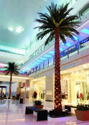 Washington Coconut Artificial Landscape Trees Hotel Restaurant Anti UV Long Lifespan 2-10 Meter