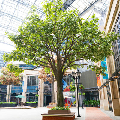 Bespoke Large Fake Ficus Tree Custom Height Foliage Tree 2-20m Evergreen Plant