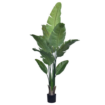 Artificial Travelers Palm with Realistic Brown Leaf Edges 160cm 180cm | Lifelike Faux Bird of Paradise Plant for Decor