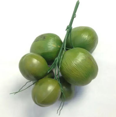 Decorative High Imitation Artificial Coconut Fruit Plastic Durable