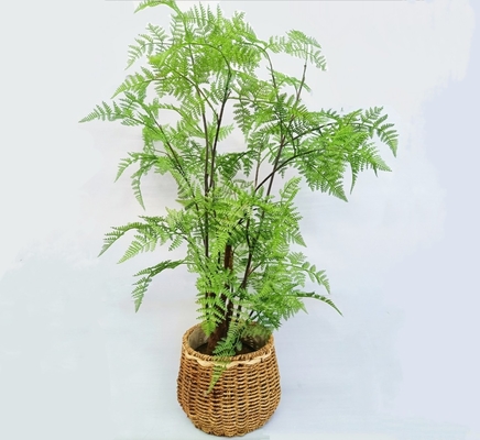 Lifelike Green Artificial Tropical Plant For Office Table Decor Boston Fern