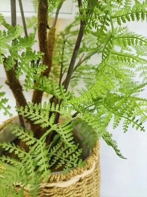 Lifelike Green Artificial Tropical Plant For Office Table Decor Boston Fern