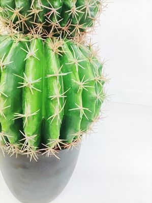 Cactus Ball Highly Lifelike 90cm Artificial Succulent Plant Round Shape