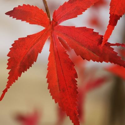 Height 180cm Artificial Potted Floor Plants Bonsai Autumn Red Maple Tree