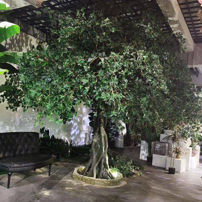 Anti UV Outdoor Artificial Landscape Trees Pittosporum For Hotel Decoration