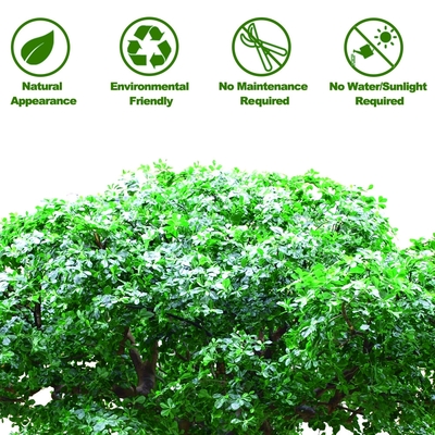 Anti UV Outdoor Artificial Landscape Trees Pittosporum For Hotel Decoration