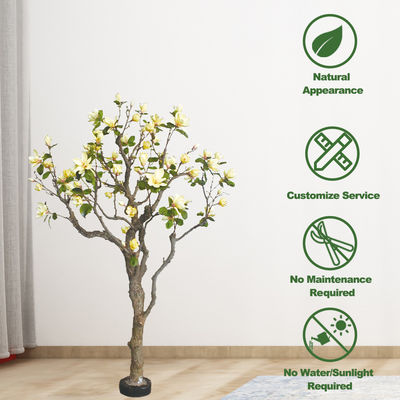 Dorm Room Ornamental Artificial Potted Floor Plants Magnolia Tree