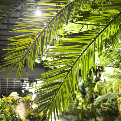 No Nursing Store Artificial Landscape Trees Big Date Palm Tree Customized Size