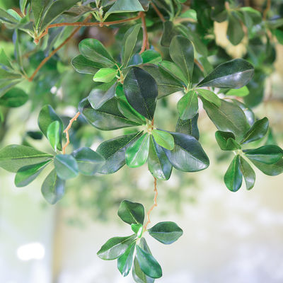 Living Room Artificial Banyan Tree No Sunlight S Shape Trunk Wide Leaf Cover Plant