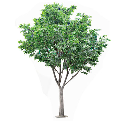 Cây đa nhân tạo để trang trí, tùy chỉnh khả năng chống tia UV và chống cháy, chiều cao 5M