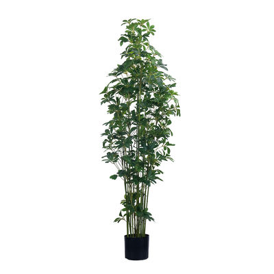 Cây Schefflera nhân tạo cảm ứng thật cao 47in 59in 70in, cây Schefflera xanh trong chậu để trang trí nhà cửa