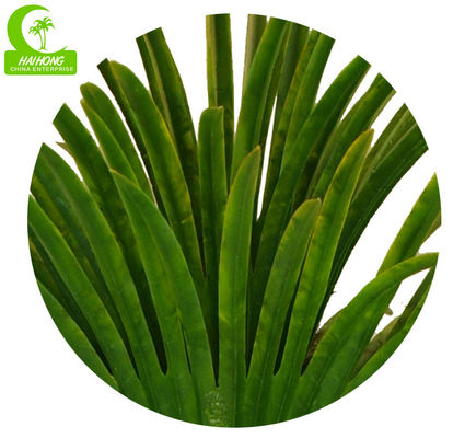 High Imitation 165cm Big Fan Artificial Tropical Tree Luxury