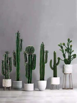 Nordic Cactus Artificial Green Plant Bedroom Floor Potted Fire Retardant