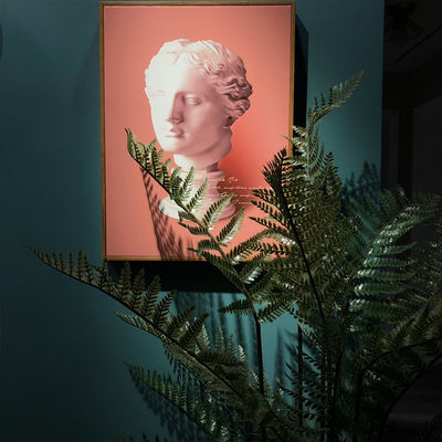 120Cm Simulated Houseplant Boston Fern Indoor Prettification Fake Plant Bonsai