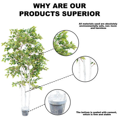 Ornamental Plant Artificial Radermachera Sinica Natural Greening For Home Decoration